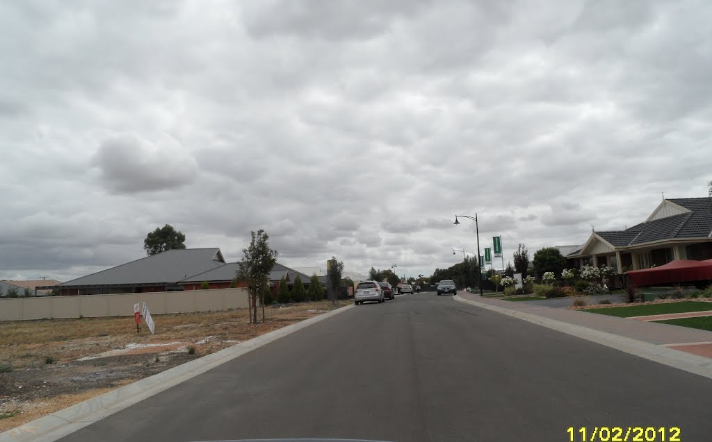 View along Unamed road in Freeling PADDOCK, on 11-02-2012 by Peter John Tate,