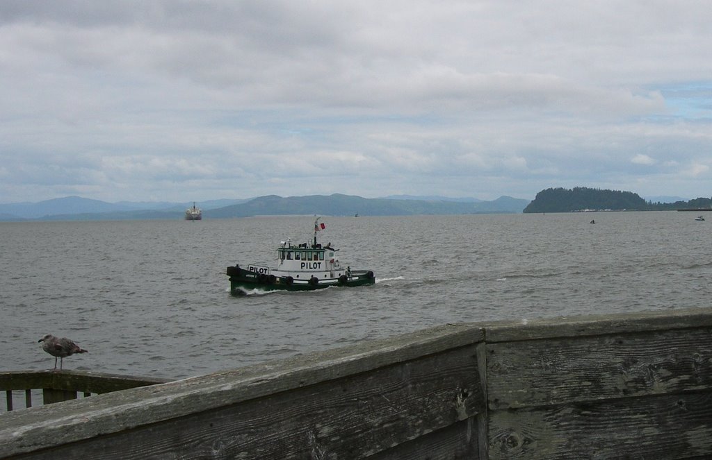 Pilot boat in astoria,or by cgmueller