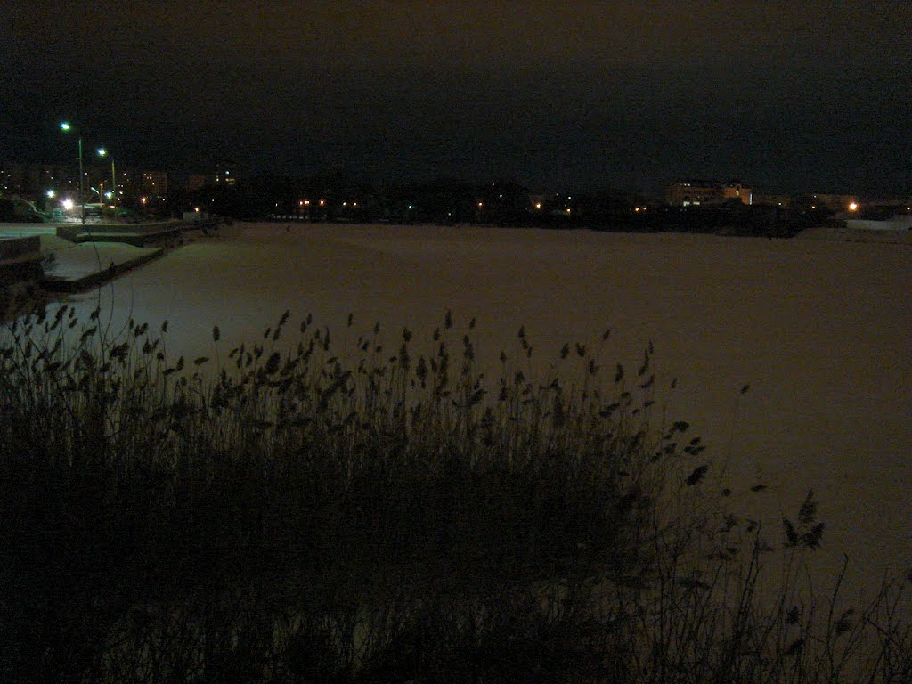 Darkness through the reeds by Victor Sokolov