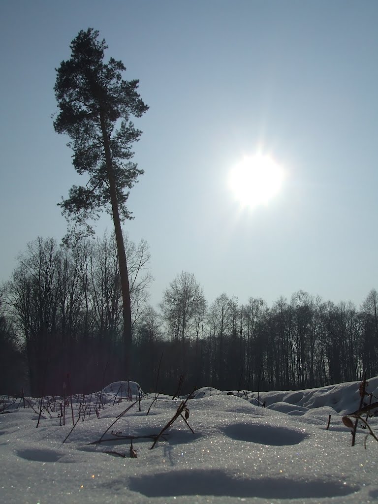 February sun by milenal