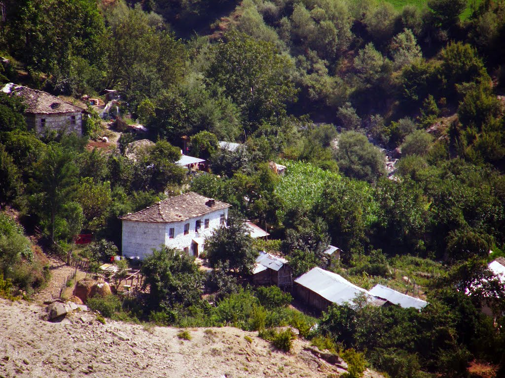 Albania - Elbasan: Zavallin... by Giorgos Rodinos