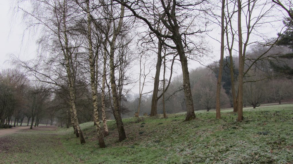 View up to Nine Springs wood, Yeovil by NeYeo74