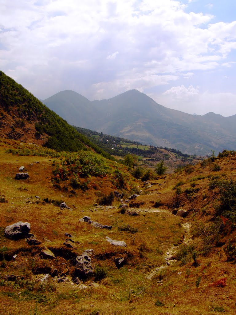 Albania - Elbasan: Zavallin... by Giorgos Rodinos