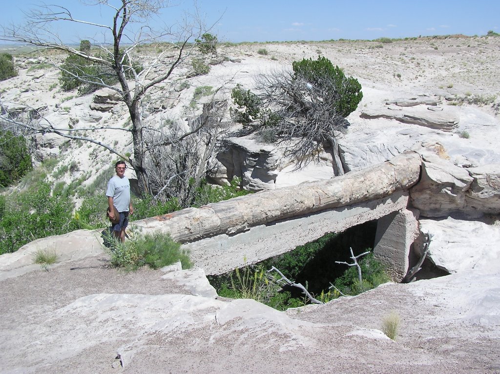 Peter at Agate Bridge, Pertified Forest NP, AZ by Peter & Shelly