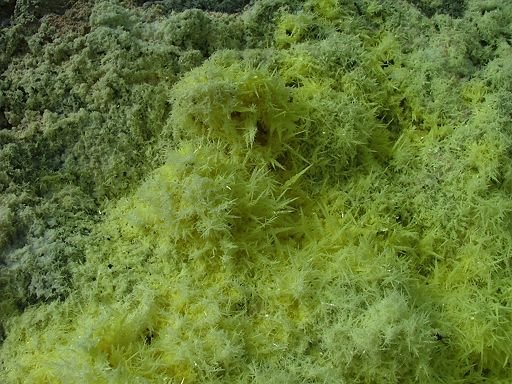 Flowers of sulfur deposited near fumarole by EcologistGreg