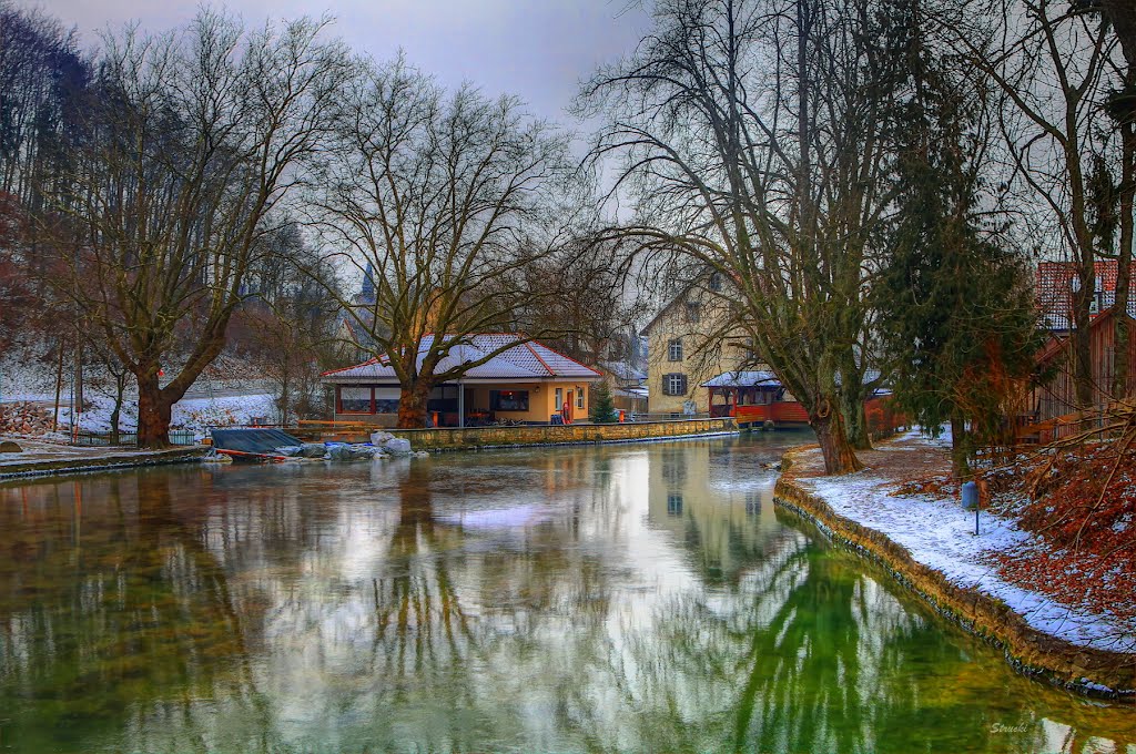 Die Aach-Quelle im Winter by Strucki