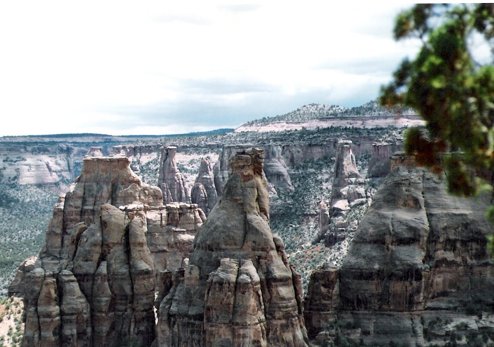 Colorado National Monument Park - Independence by Rick Sanford