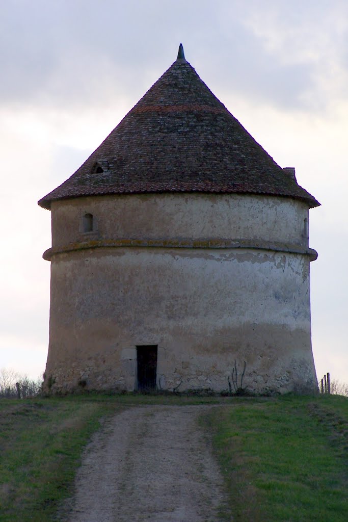 Saint-Félix-de-Foncaude pigeonnier du château de Pommiers by hpjps