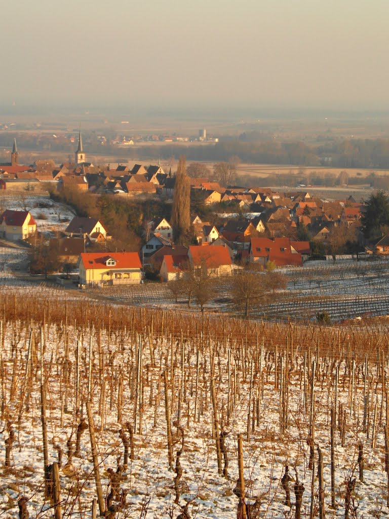 Mittelbergheim by Gautier B