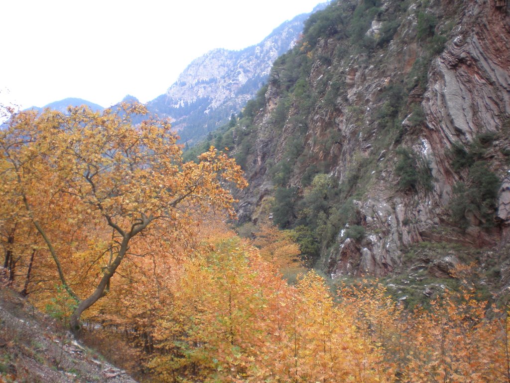 Karpenisi, Greece by Dimitrios Touvras