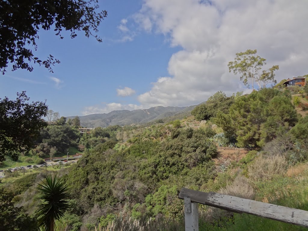 View of Los Liones Canyon by Alan F Fogelquist