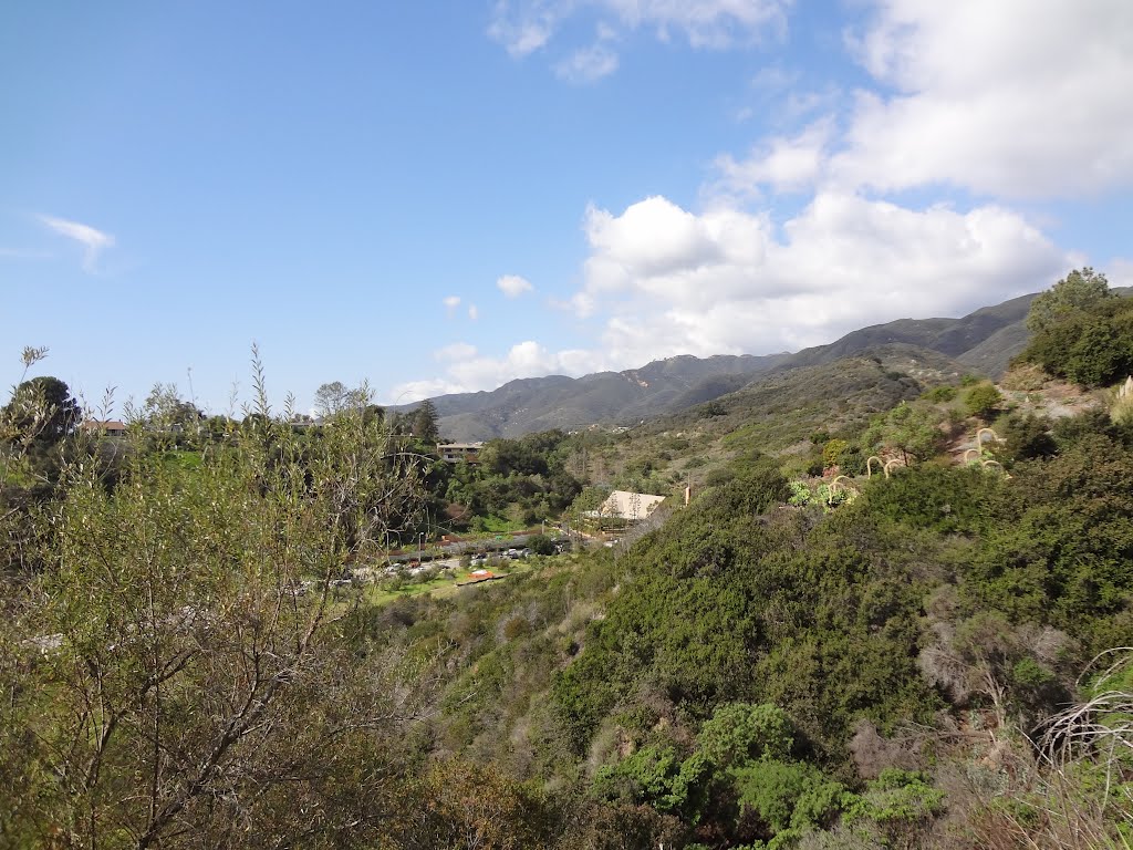 Los Liones (Leones) Canyon and Paseo Miramar by Alan F Fogelquist