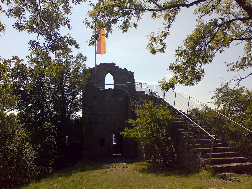 Ruine Köhlerhütte by Peter Venczel