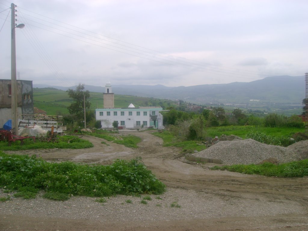 Cherguia Mosque "Ibn Badis" by oumrane@yahoo.fr