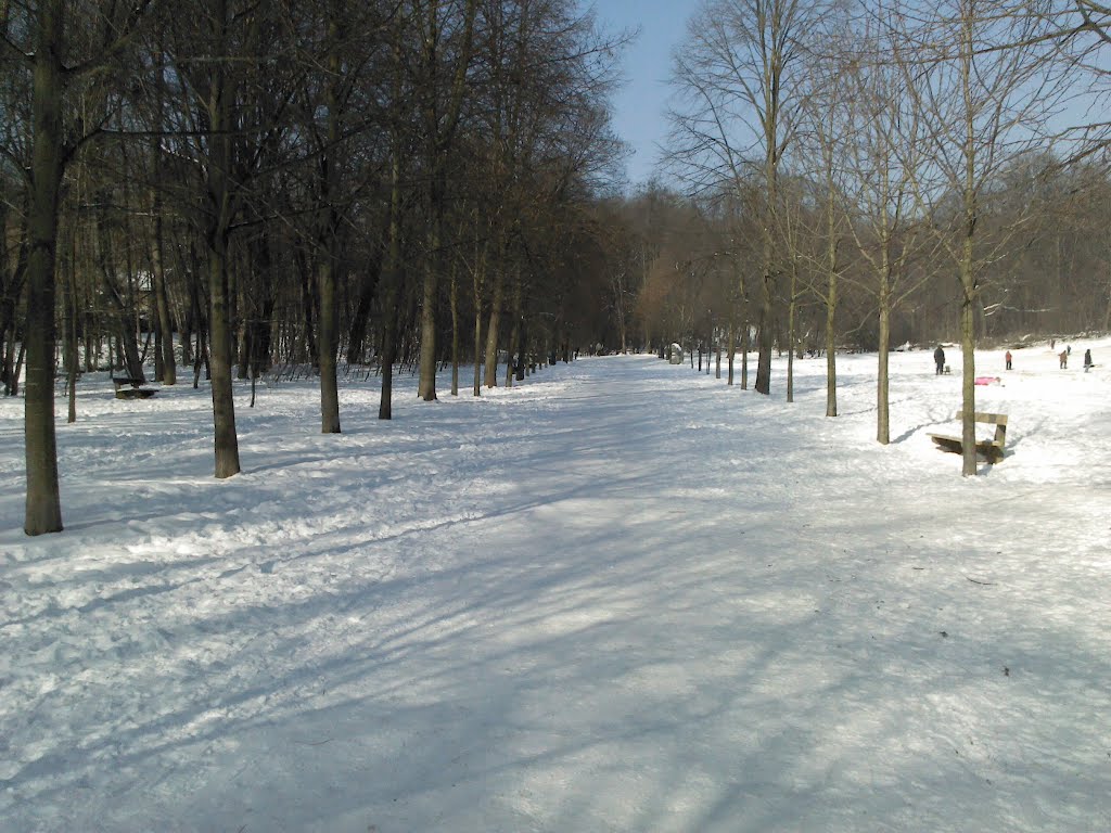 Winter 2012 im Schwarzenbergpark by jilalf