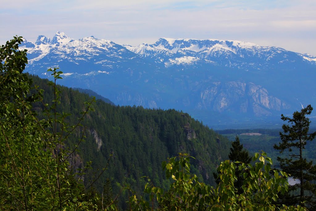 Cheakamus river valley,in background Stawamus Chief.BC Canada. by Vaksmundsky Jaroslav