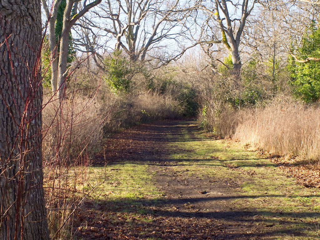 Uplands Park 16 by Tom C.