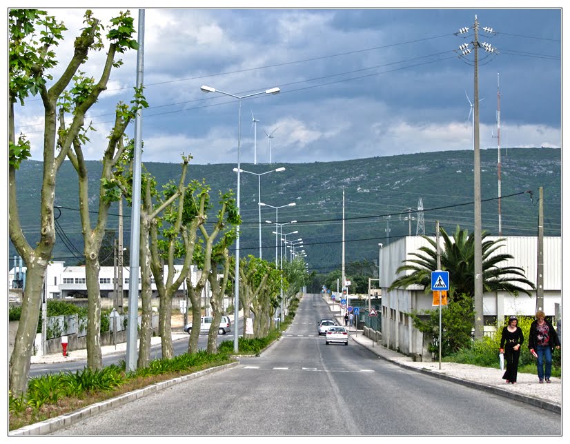 Avenida Padre Inácio Antunes by Barragon