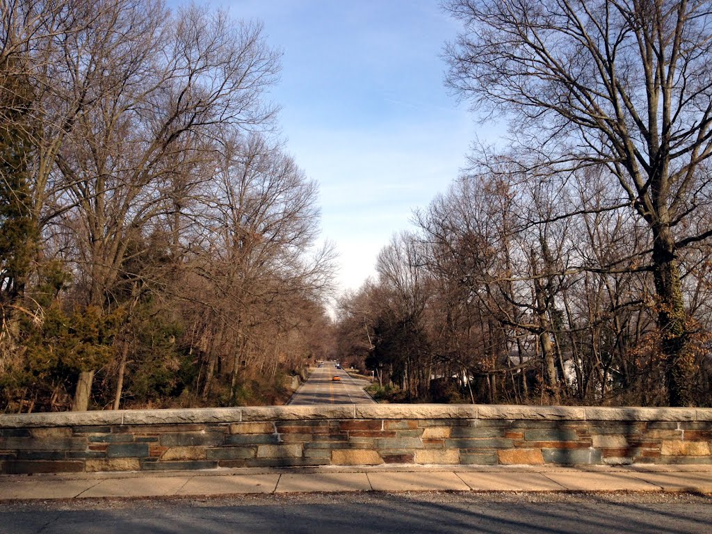 Alexandria Avenue Bridge, Winter 2012 by Joe Gattuso