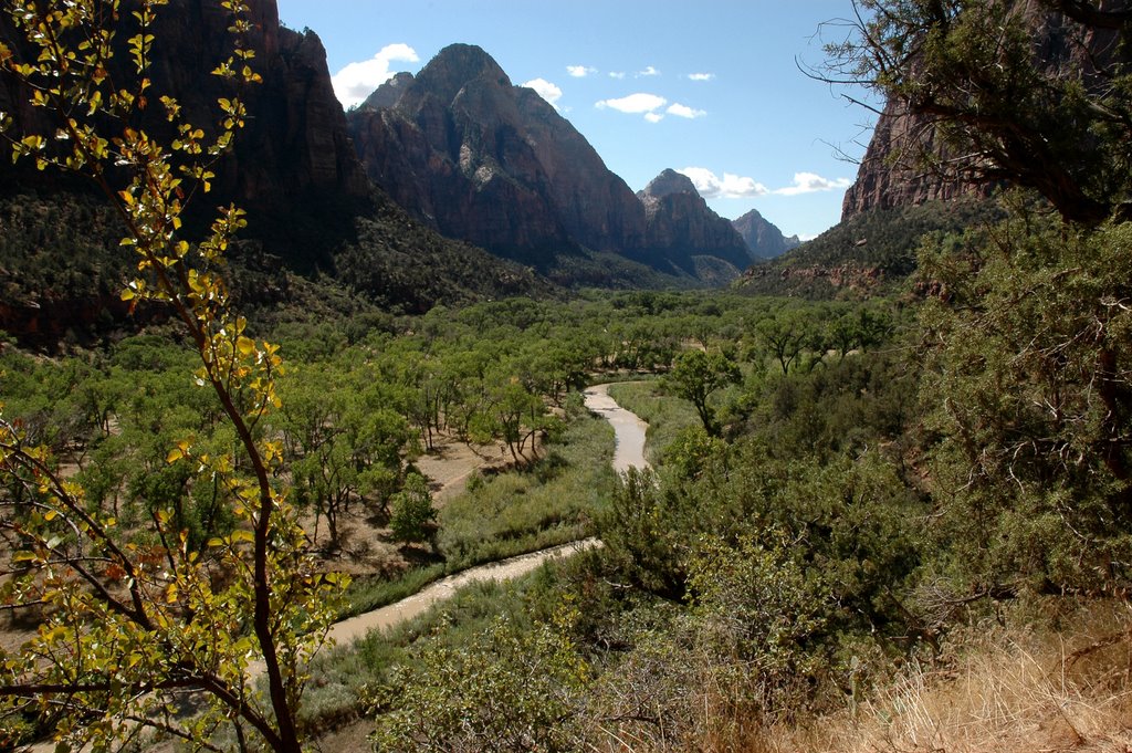 Zion NP by rehali