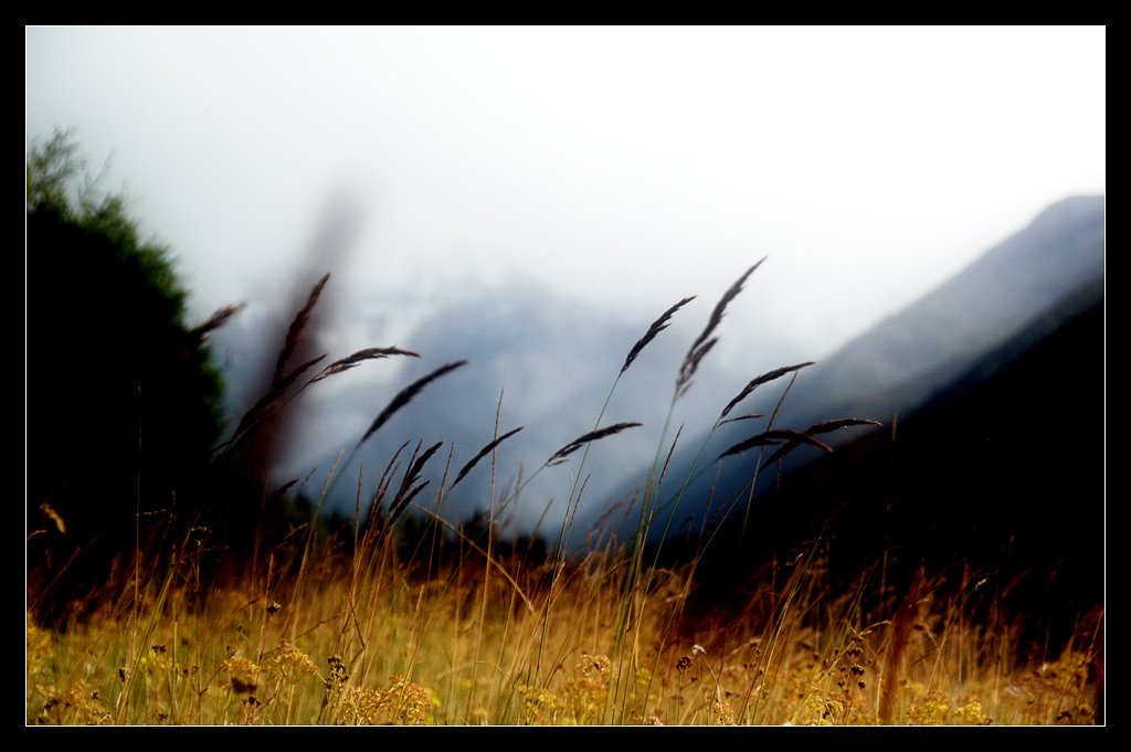 Zhaosu, Ili, Xinjiang, China by neverdance