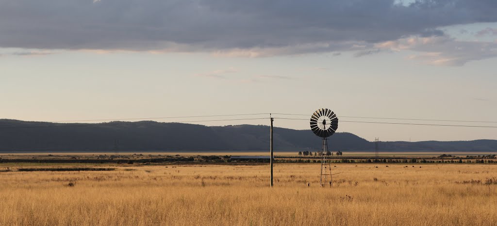 Bungendore - Tarago road by strasser©paul