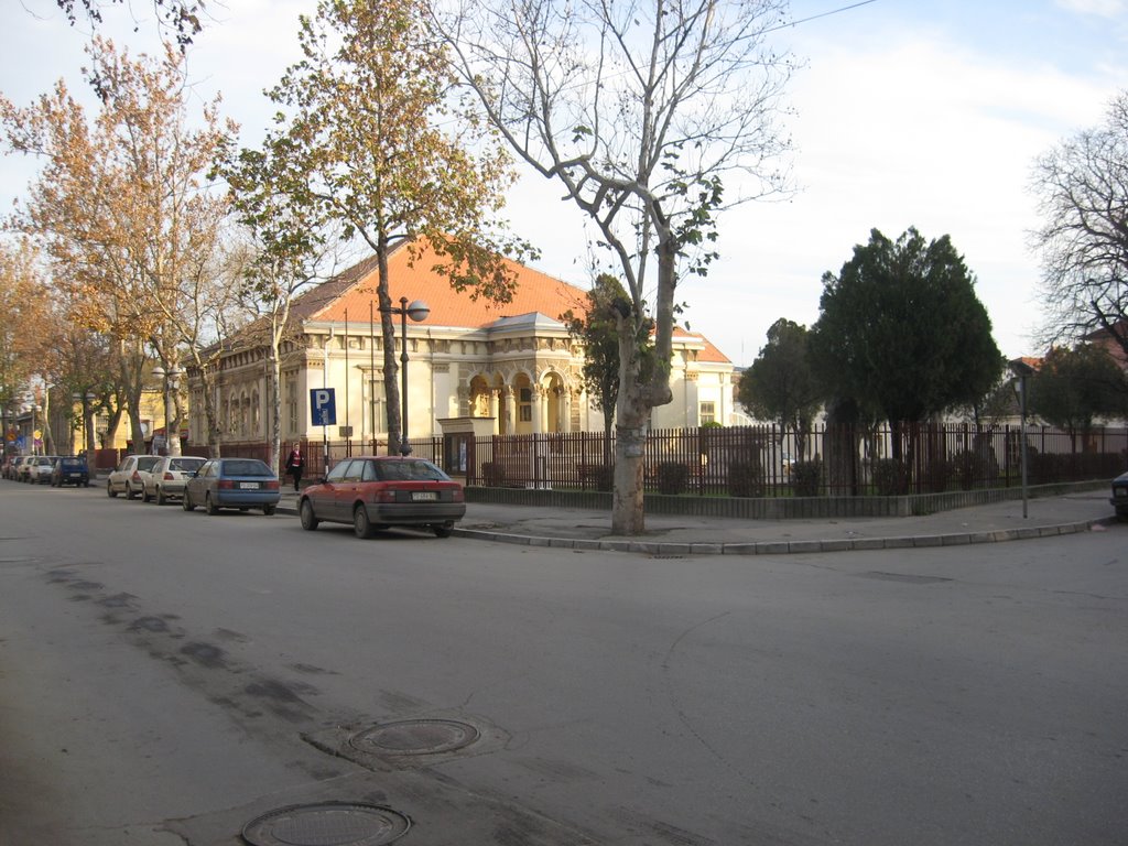 Požarevac-Muzej-Ul.Dr Voje Dulića by sonjamar