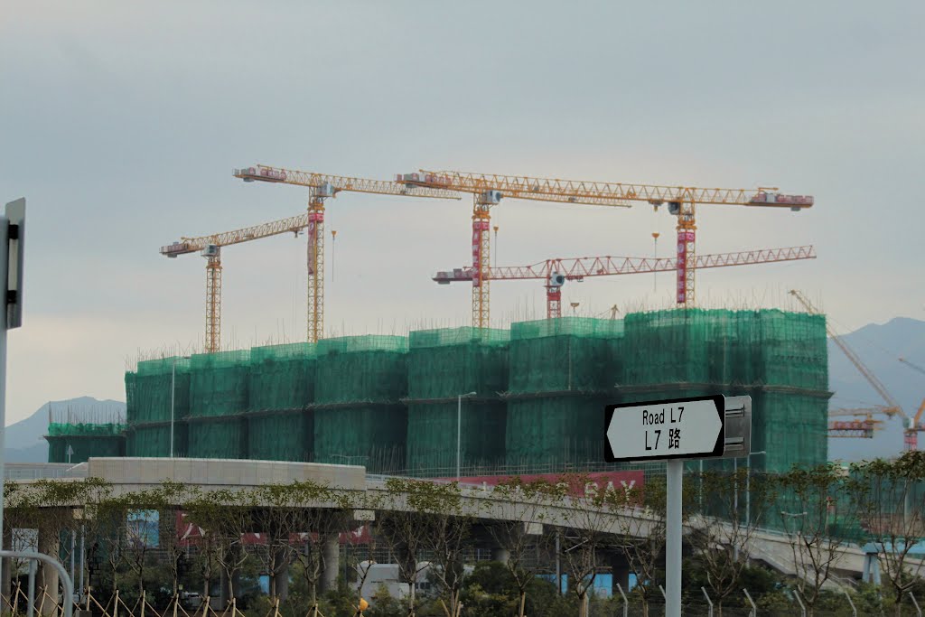 L7路與建築中之住宅 L7 Road and Providence Bay in construction by Marcus Tong