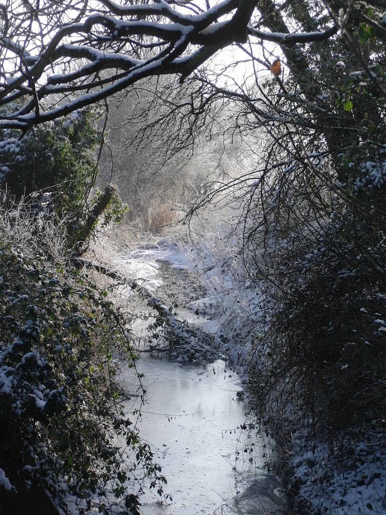 Aslackby ford stream, frozen by Chris Ayres