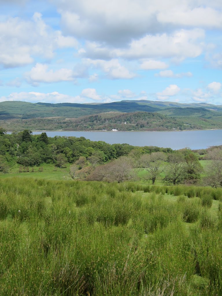 West Loch Tarbert, Kintyre by peppersoft25