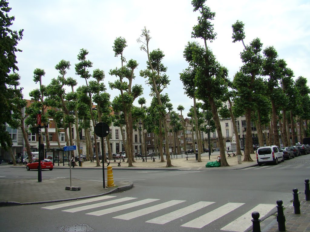 Pl. du Nouveau Marché aux Grains by PlamenB