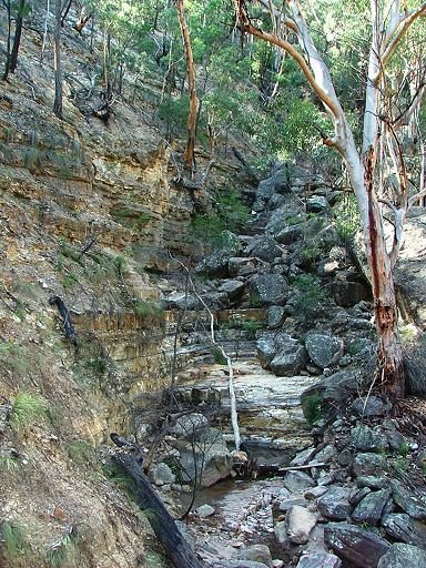 Horizontal strata exposed in gully line by EcologistGreg