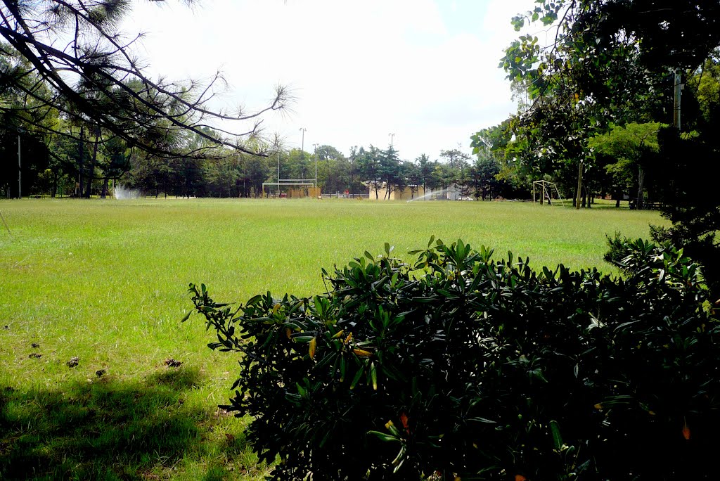 Cancha de Fútbol - Colegio Alemán by servicioti