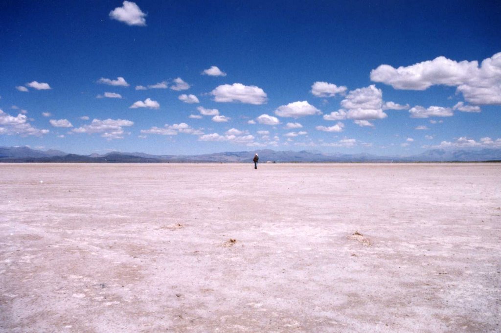 Salar por laguna Llancanelo by don-andi (mehler)