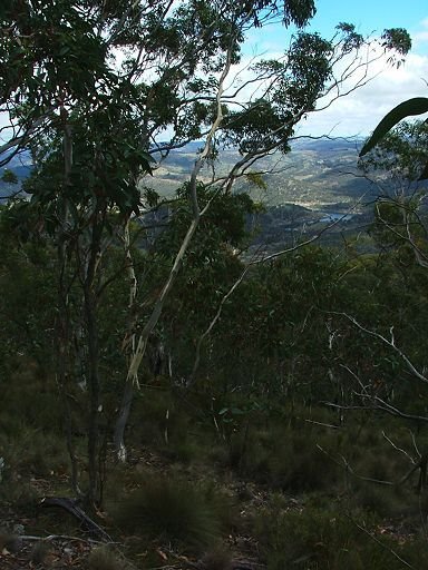 Looking from near the top of Mount Walker towards Lake Lyell by EcologistGreg