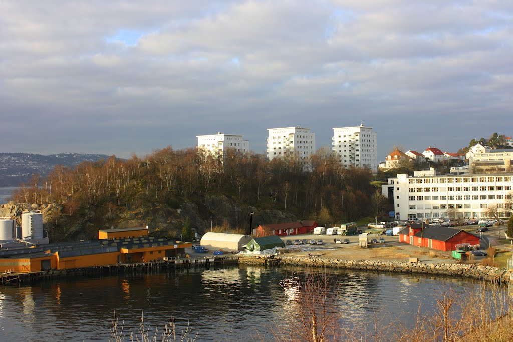 Fagernes a sunny day in february by Mona Lygre