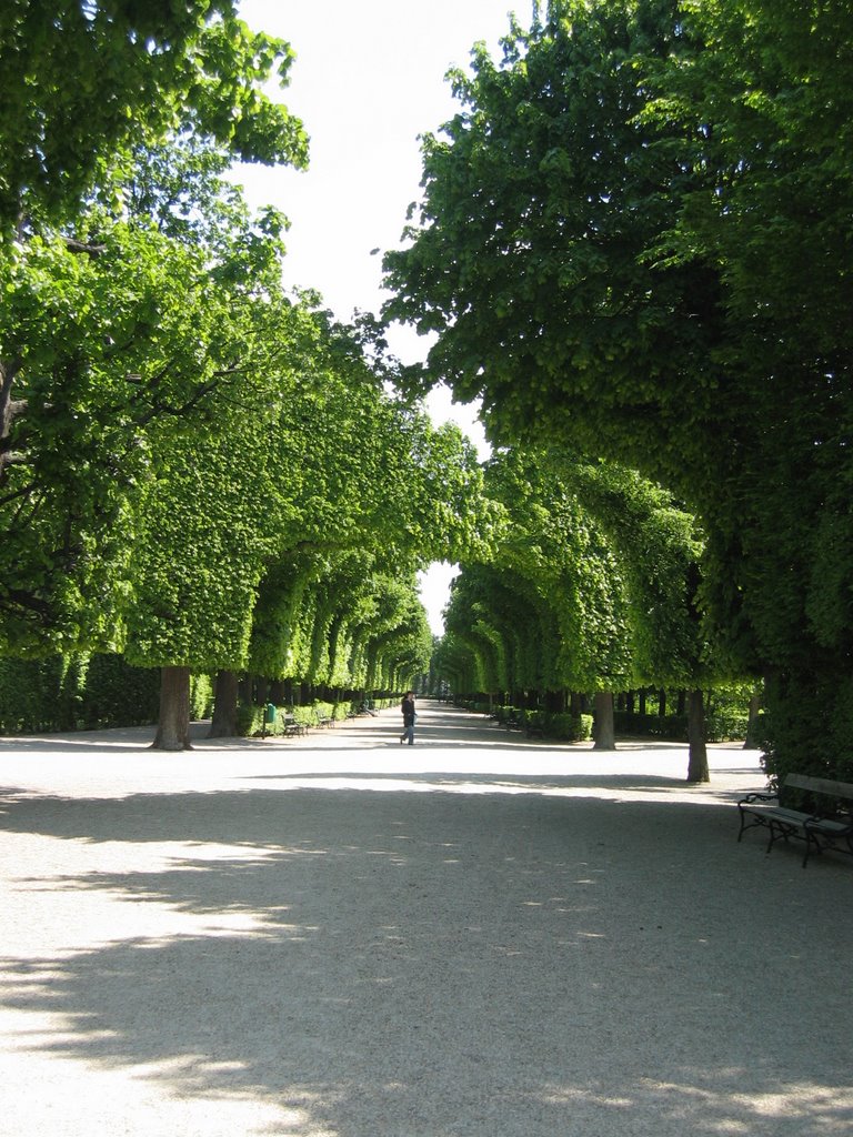 Schönbrunn Park - particular by sony84