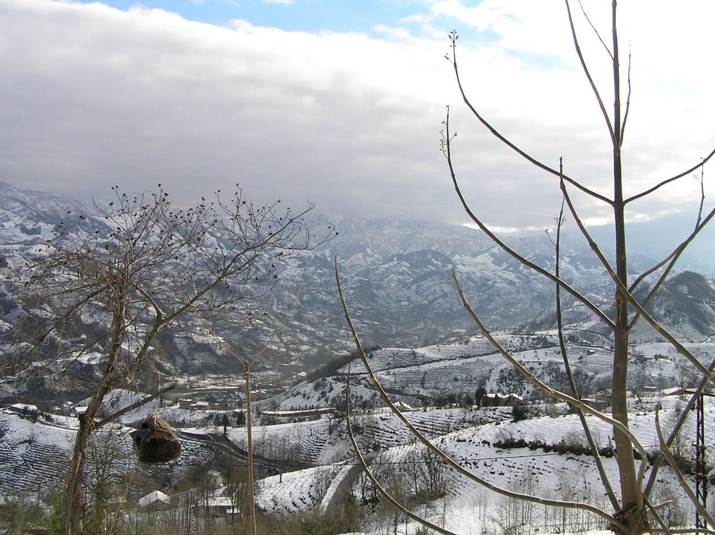 Dağmarandan Salarha by Erkan Beyli