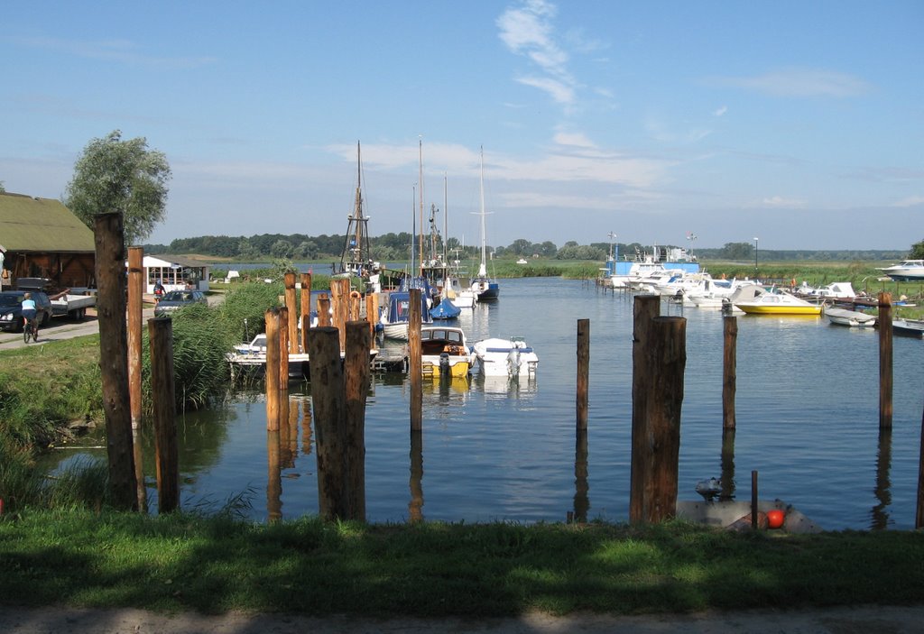 Blick über die Peene by Alfred Koepke