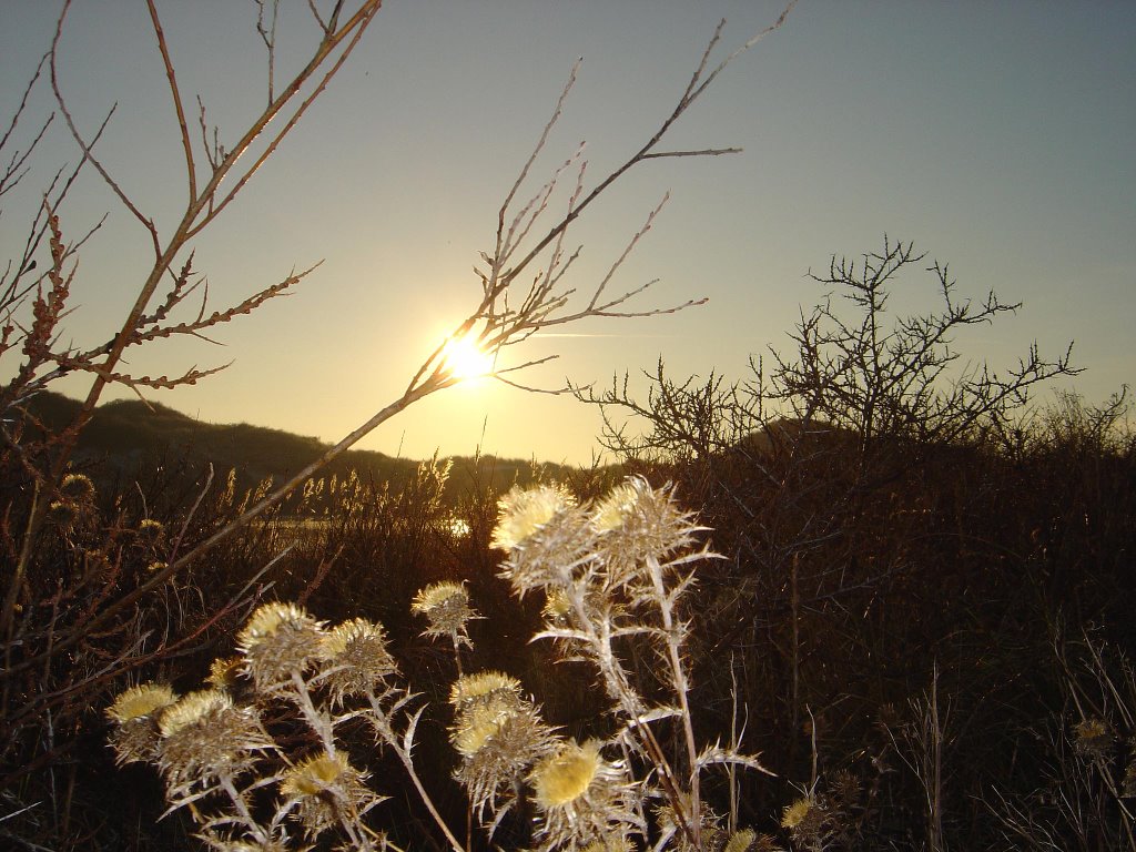 Sundown in december by Lecleire Jacques