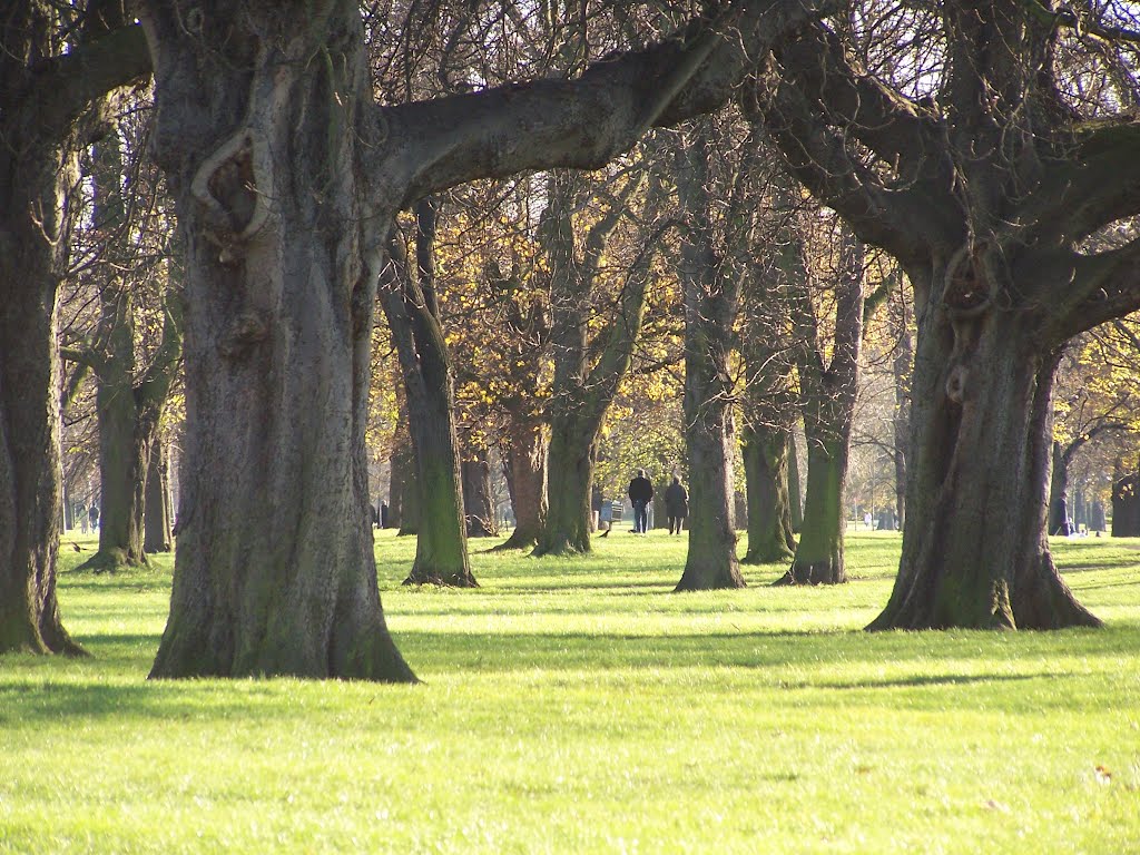 Hyde Park - Londra by Paololitico