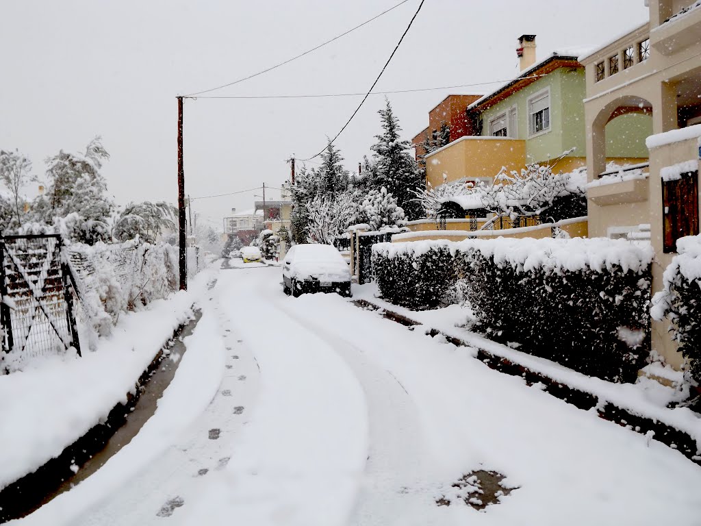 Near my house wonderful snowy morning.. by 6th JULY!!!!