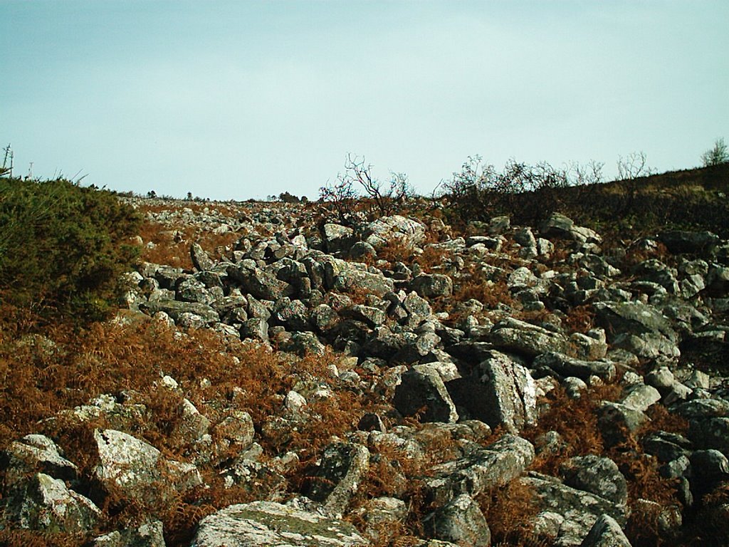 O Pedregal - Nacemento do Rio Miño by Miguel T.