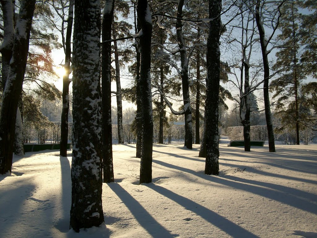 Tzarskoe celo. Александровский парк. by ramka