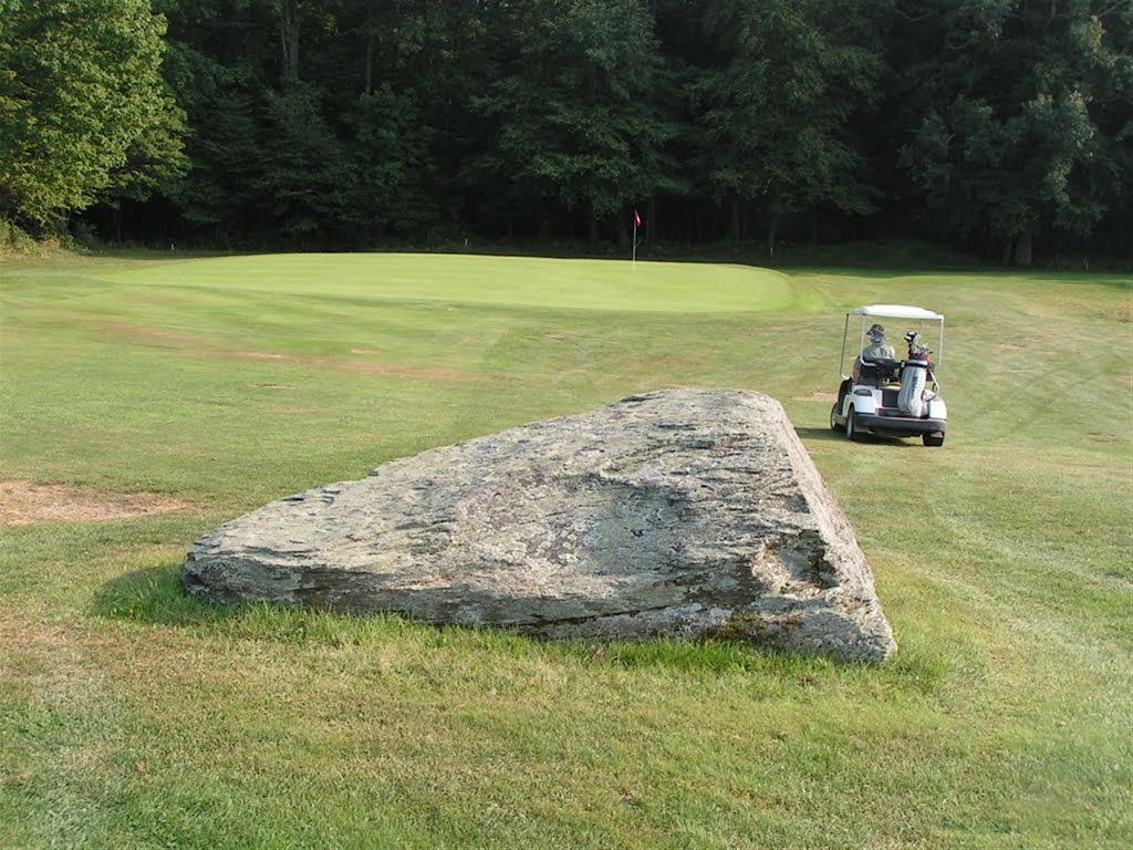 Rock on Bluestone golf course fairway - golf cart - green by Geraldine Clark