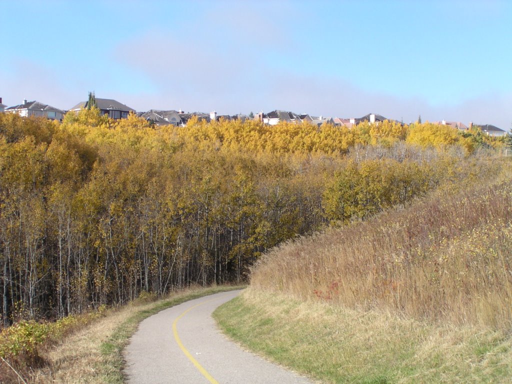 The Ravine by Ray Caufield