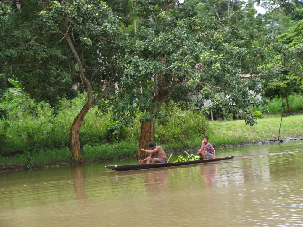 Pirogue transportant des bananes by Dersou1