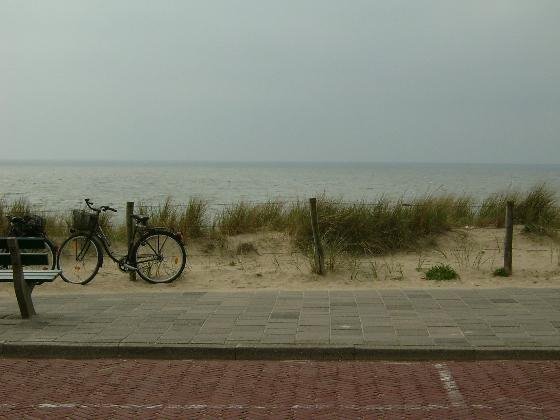 North Sea view at Bergen aan Zee by rolandweyers