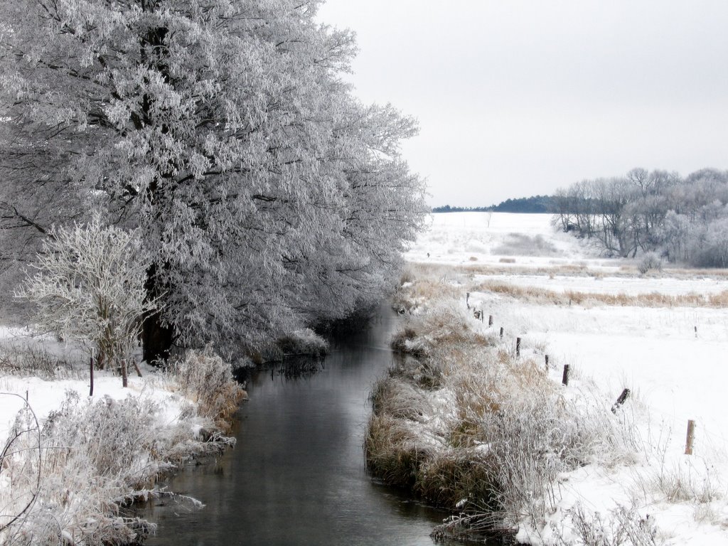 Vinter ved Stubbe by Jørn.Kjeldsen.Nielsen