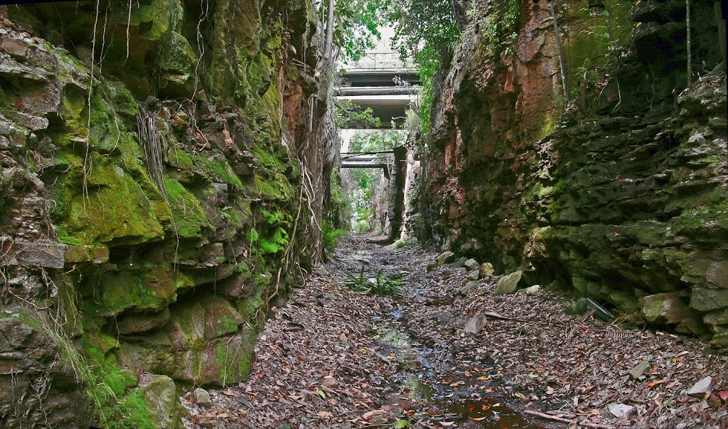 Cane Train Railway Cutting. Bli Bli by nopo